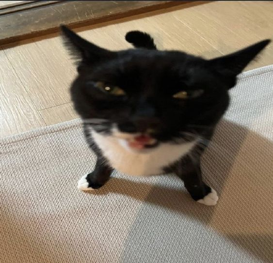 1725097304646.png
