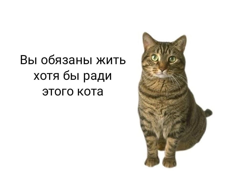 1726143751082.jpeg