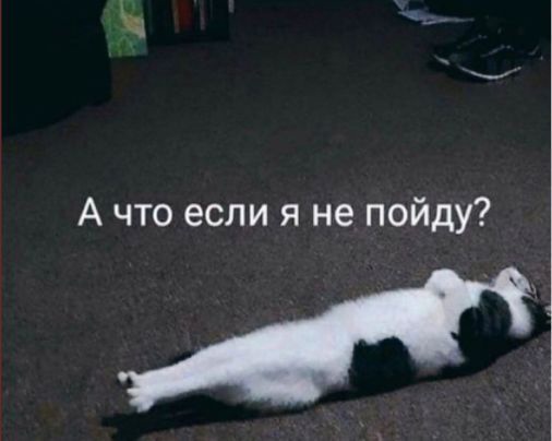1726203579.jpg
