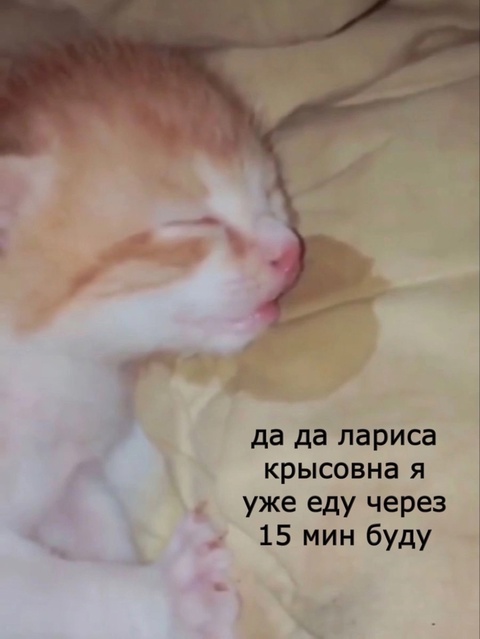 1726542719.jpg