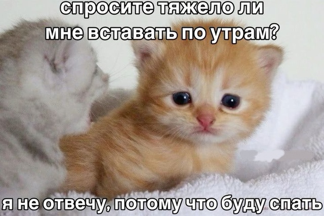 1726632177.jpg