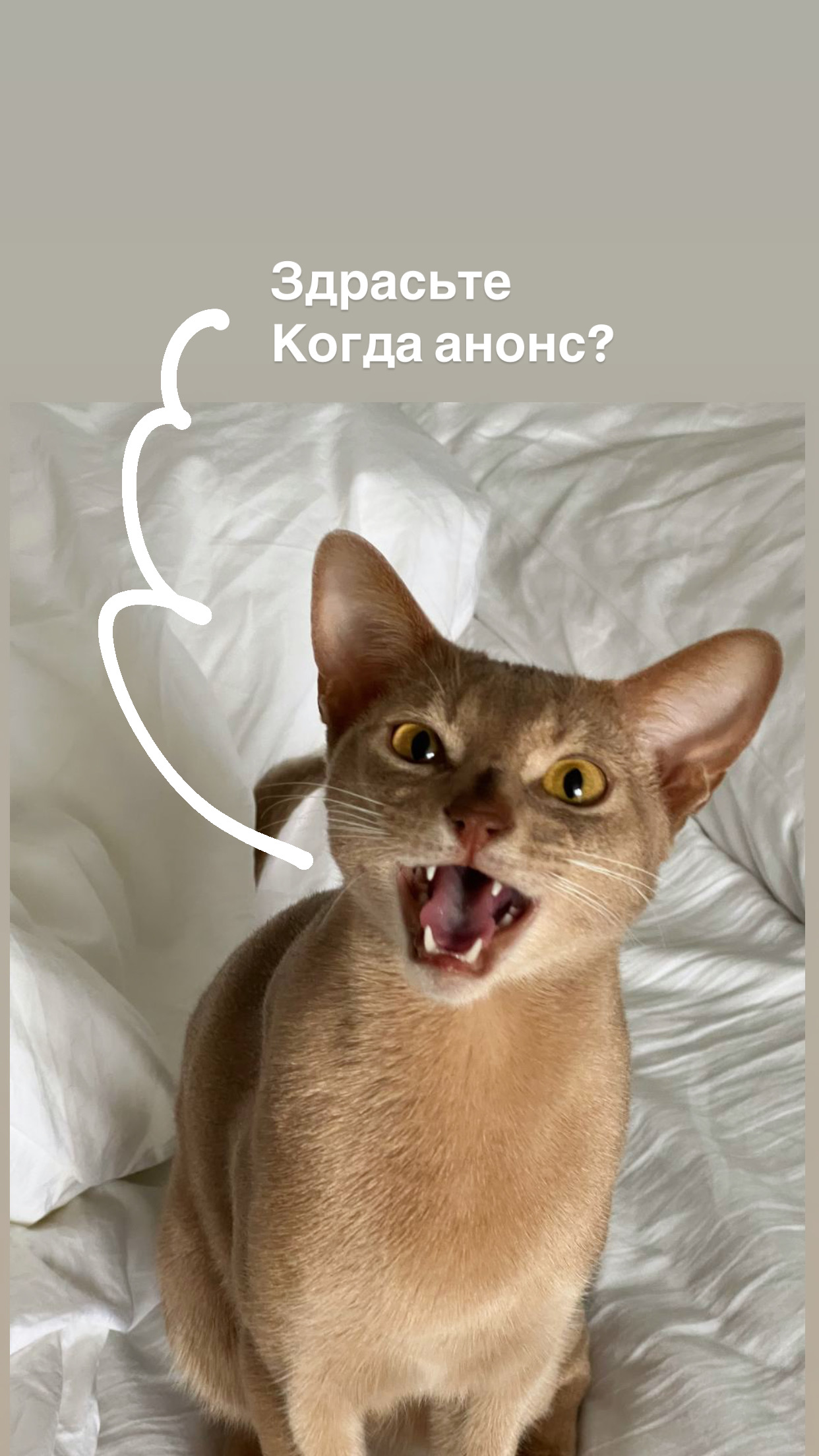 1726742316978.jpeg