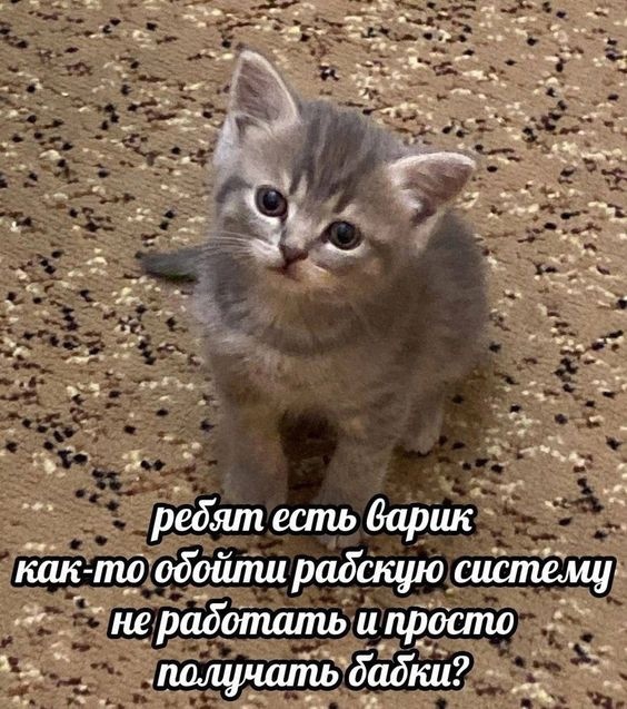 1726818113211.jpeg