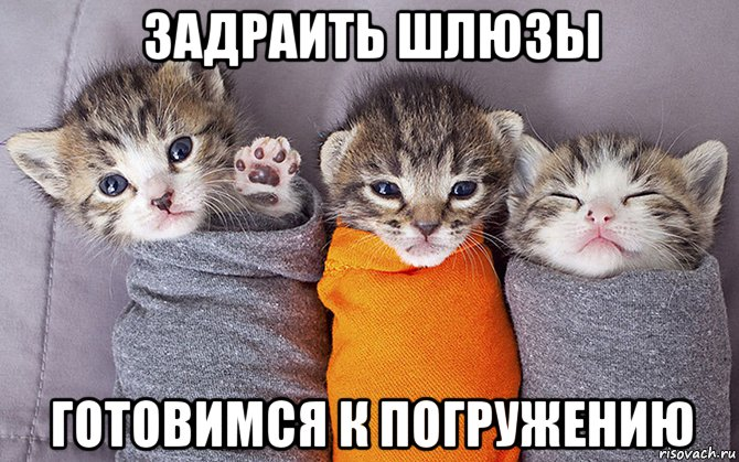1726818519730.png