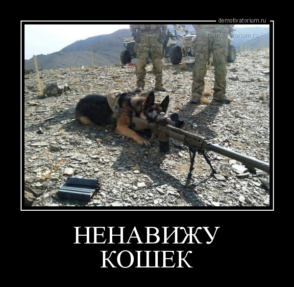 1727013164403.png