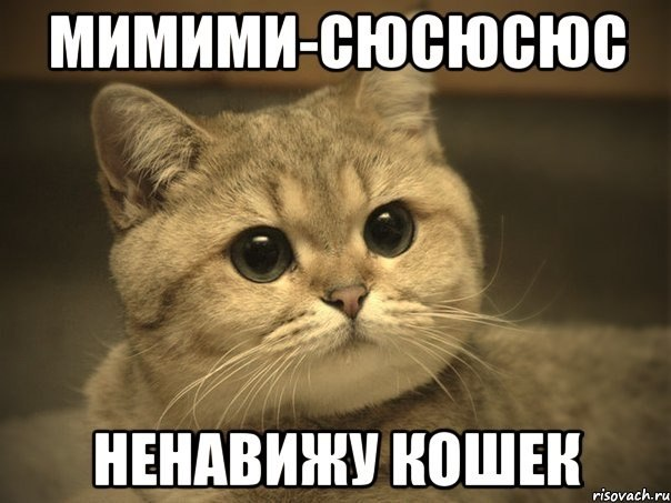 1727077498027.png
