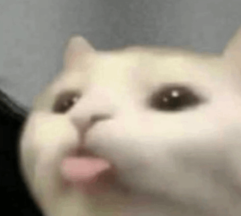 1727089690875.png