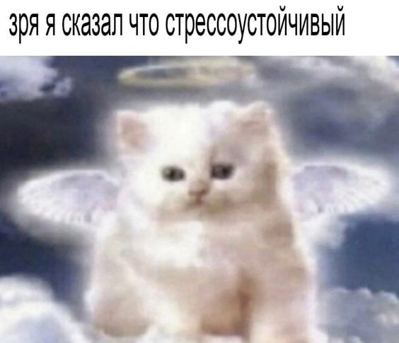 1727209948411.png