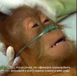 1727260030016.png