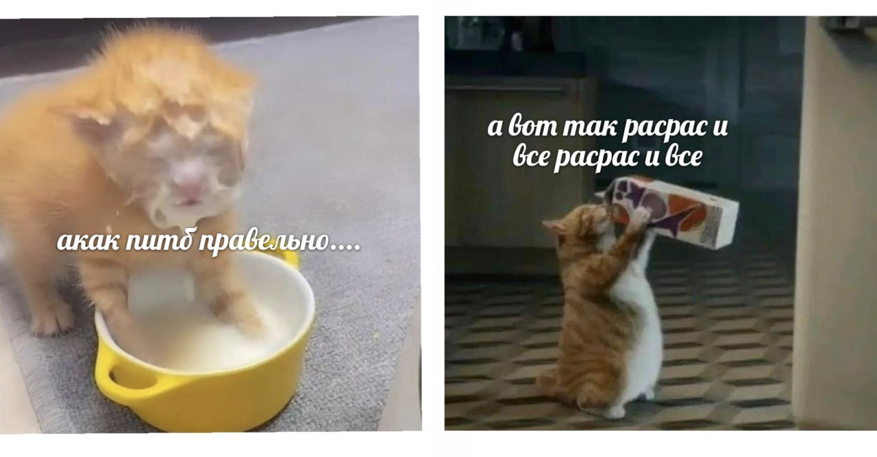 1727366562150.png