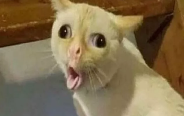 1727463592575.png