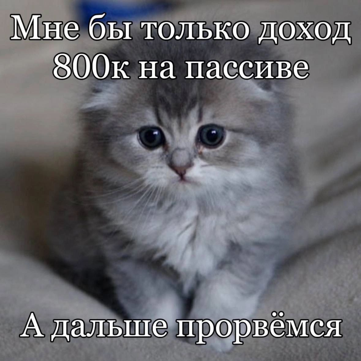 1727535222573.png