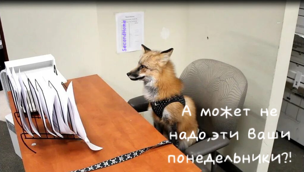1727670522872.jpg