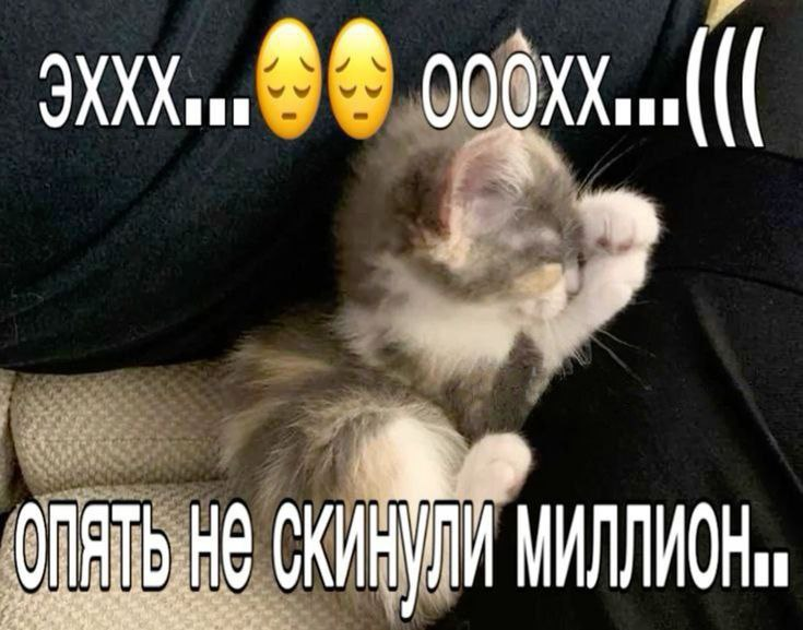 1727708685853.png