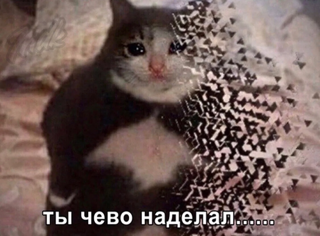 1727962136449.png