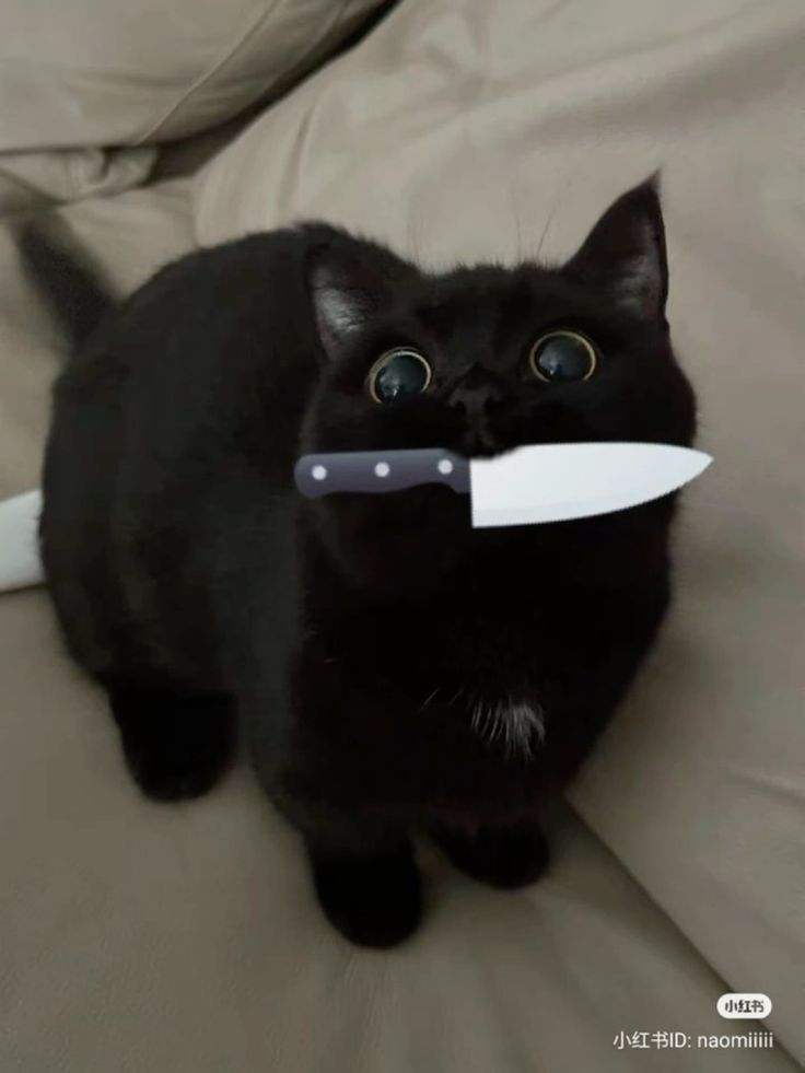 1727967593353.png