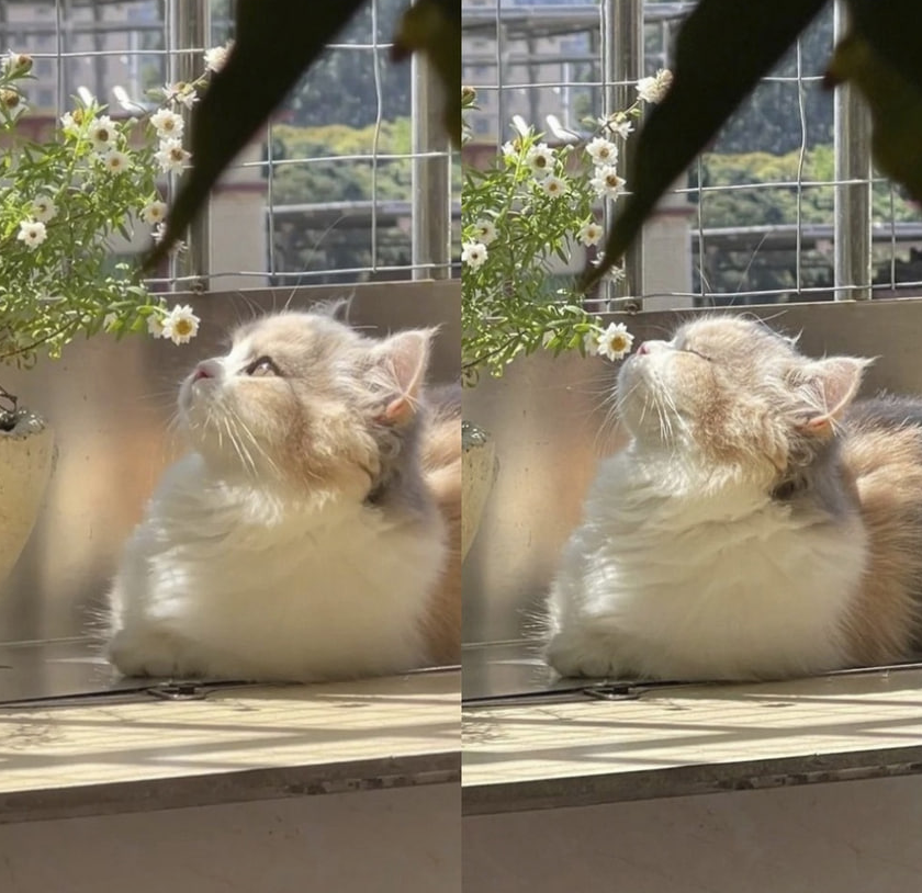 1728113983529.png