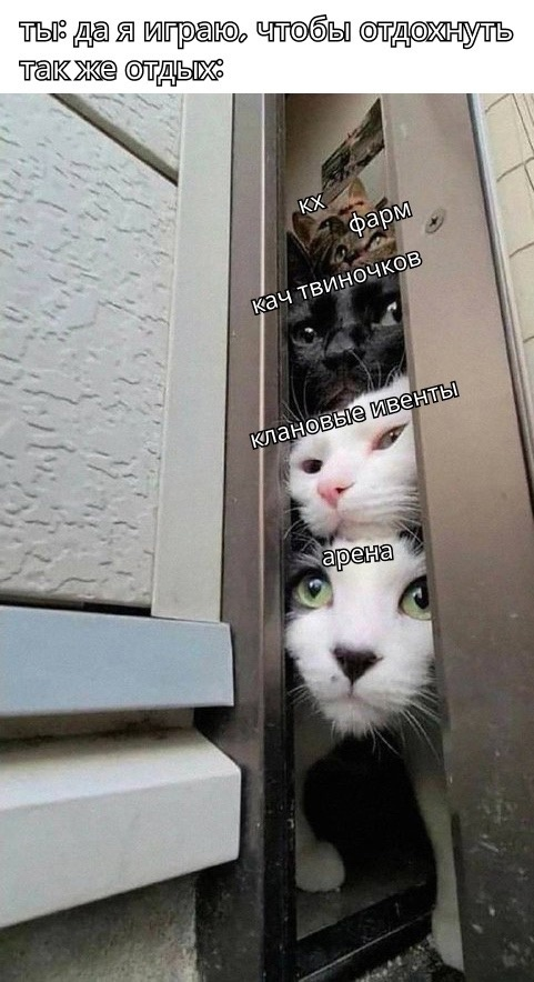 1728128613082.png