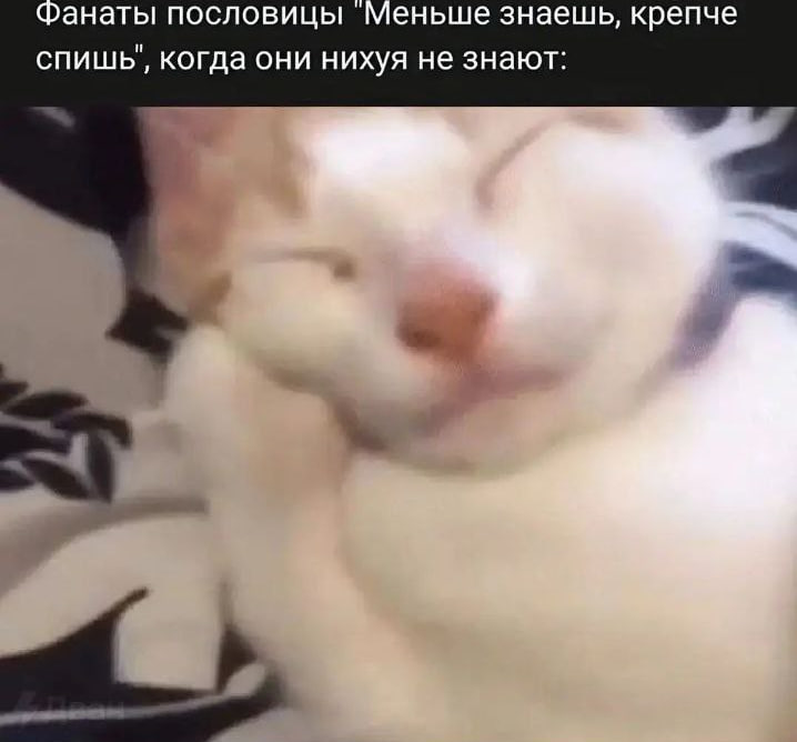 1728132308719.png