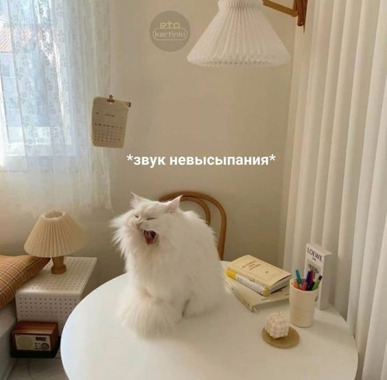 1728288934492.png