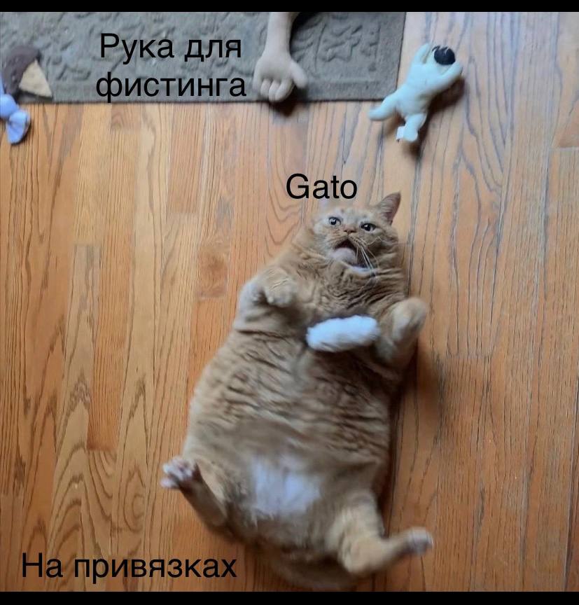 1728292810637.jpeg