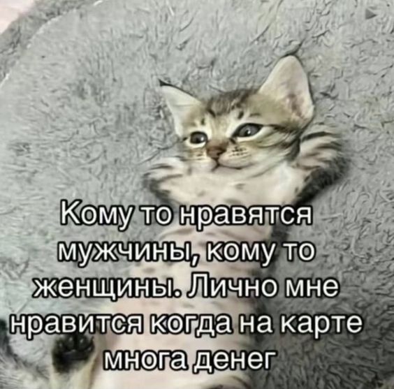 1728363414.jpg