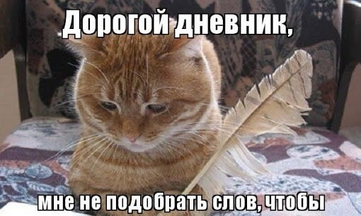 1728473981419.png