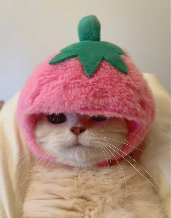 1728491012038.png