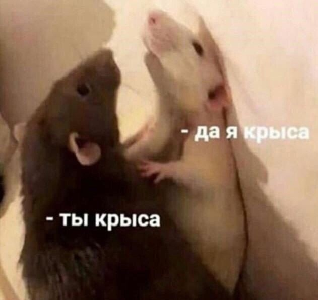1728649227574.png