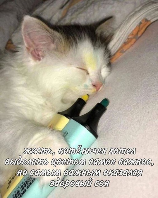 1728884597.jpg