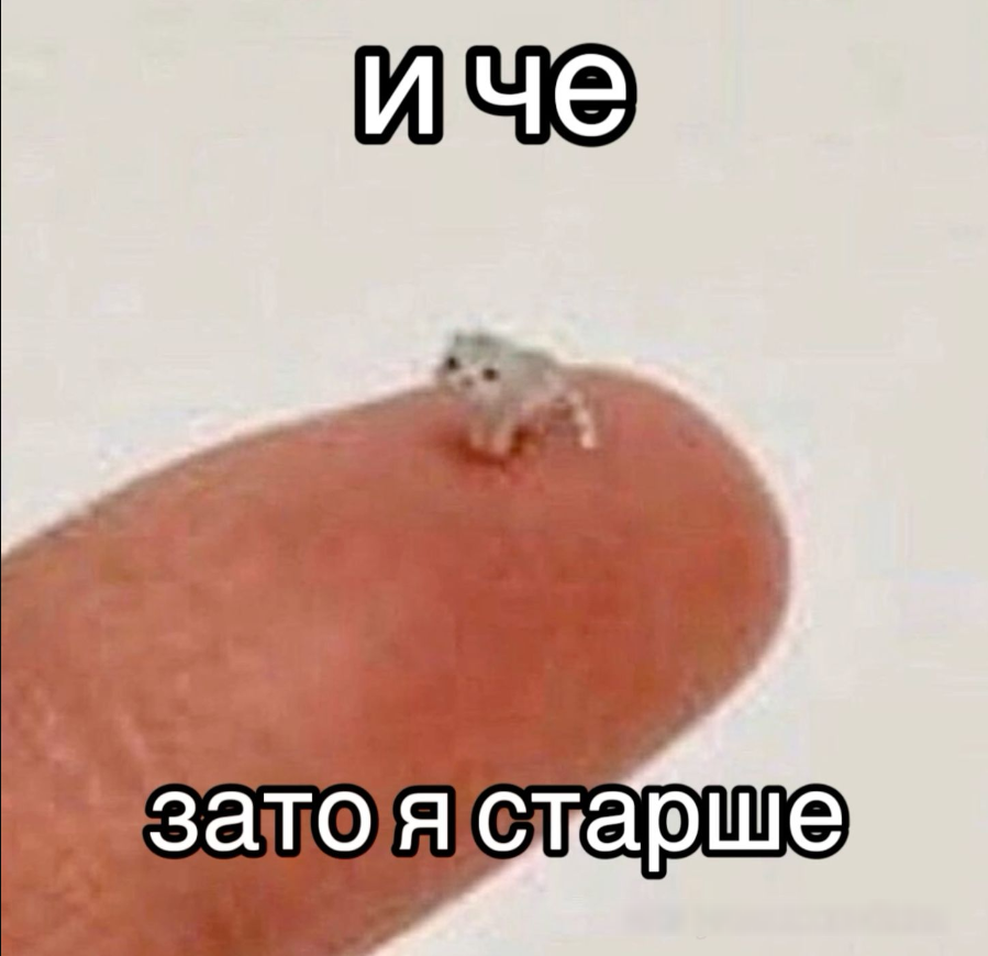 1728921019526.png
