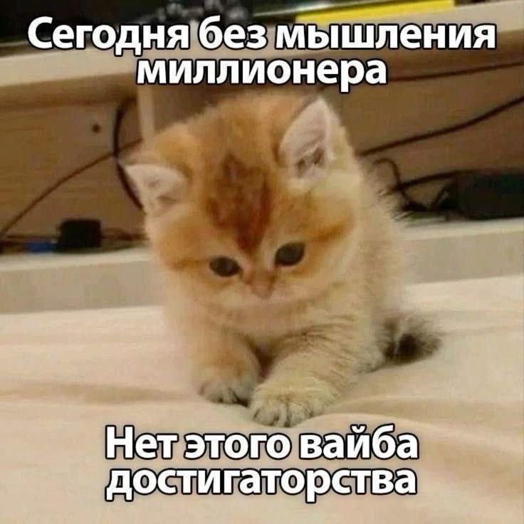 1728934570515.png