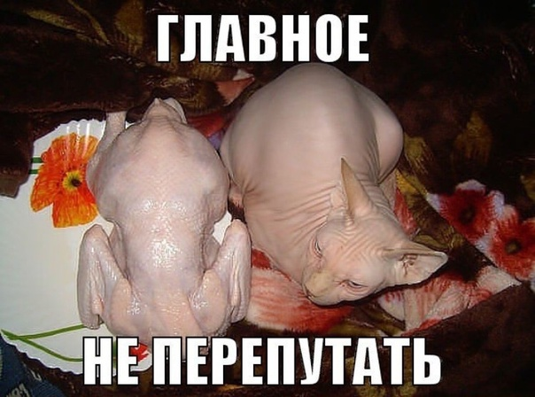 1728987562238.png