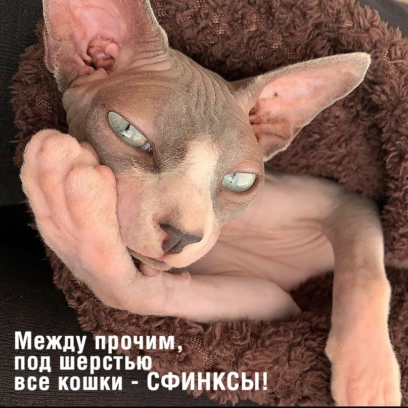 1729070740215.png