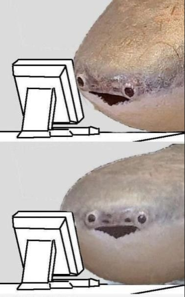 1729263420017.png
