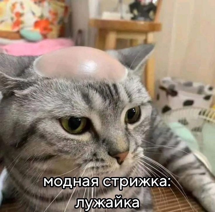 1729588054281.jpeg
