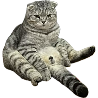 1729661845125.png
