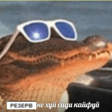 1729686257667.png