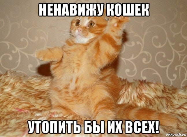 1729773727303.png
