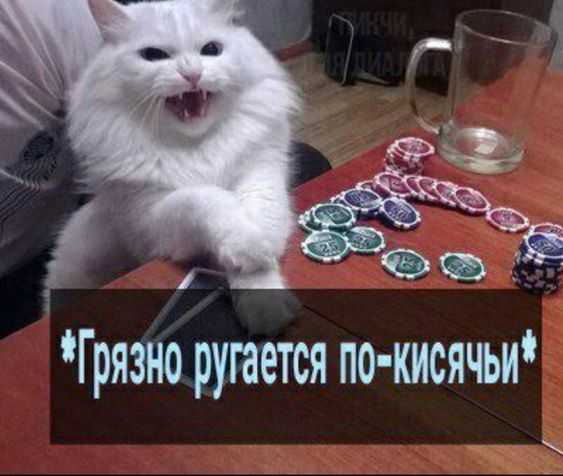 1730483470940.png
