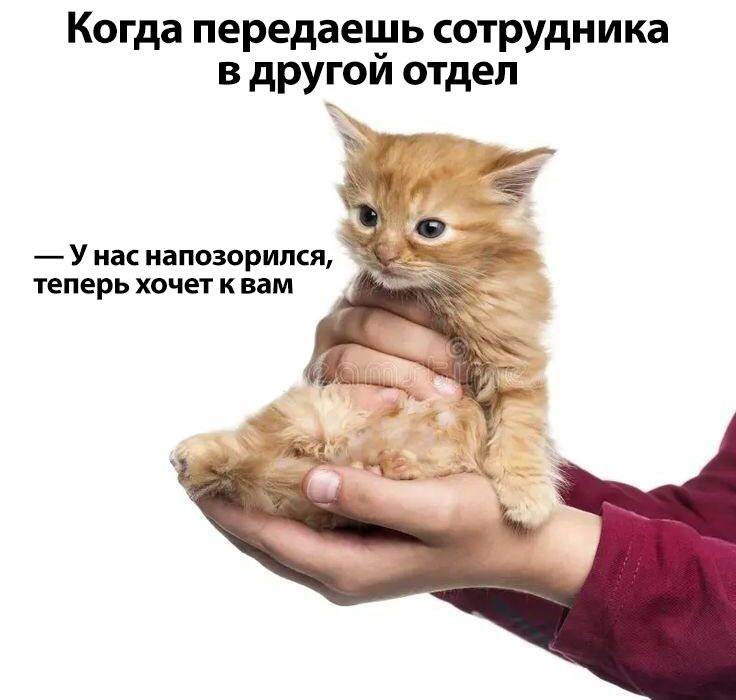 1730542261107.png