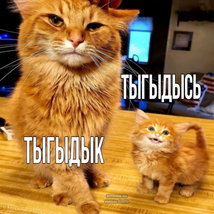 1730581252021.png