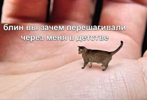 1730790266690.png