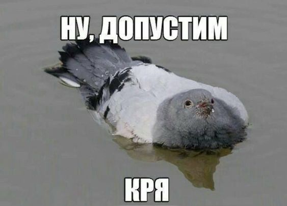 1730821380680.png