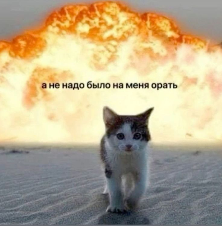 1730821622171.png