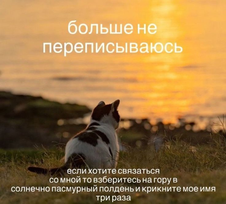1730821753200.png