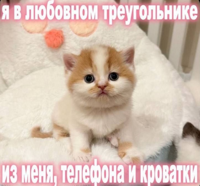1730870263.jpg