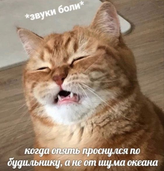 1730871559.jpg