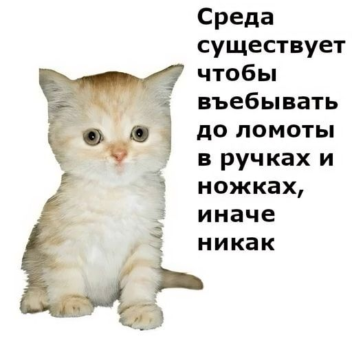 1730880820369.png