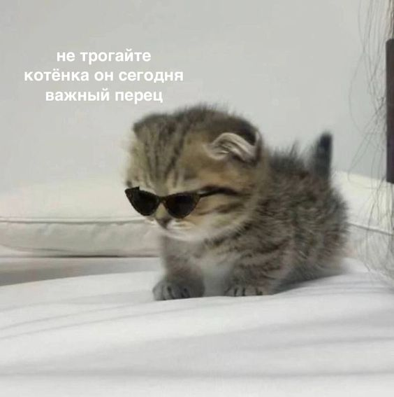 1730897221159.png